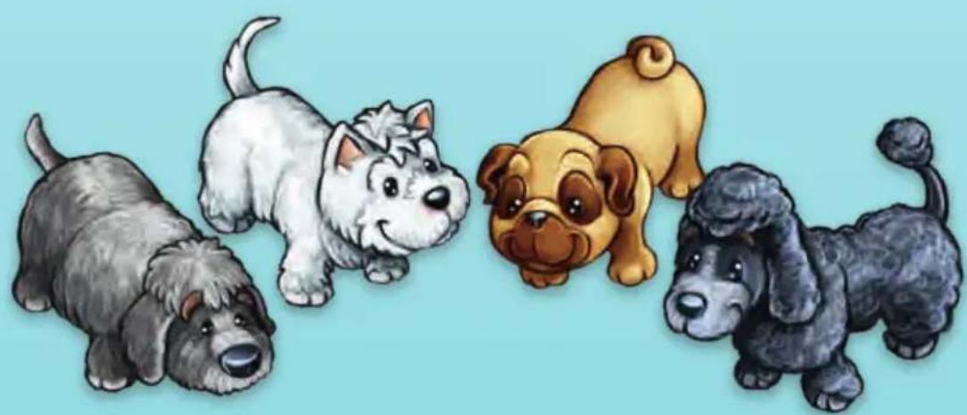 Schmidt DOG Kids - Spielende - 1