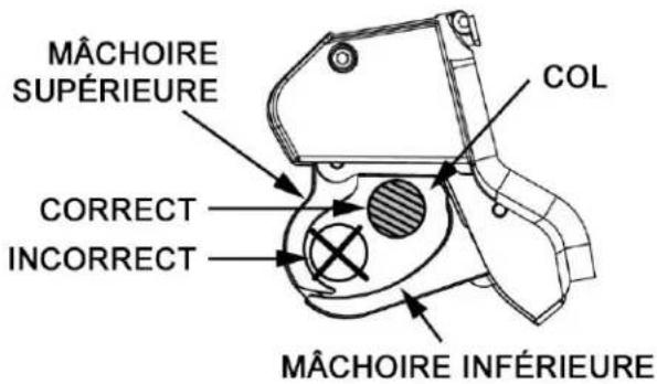 MÂCHOIRE SUPÉRIEURE COL CORRECT INCORRECT MÂCHOIRE INFÉRIEURE