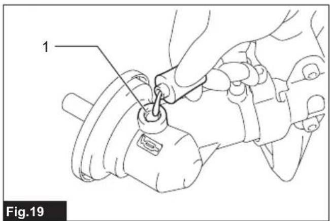 1 Fig.19