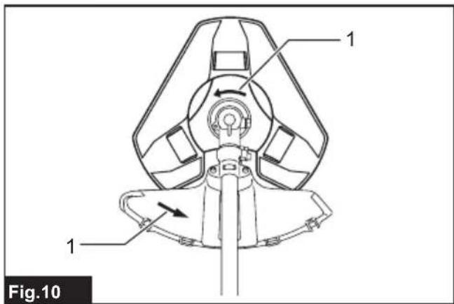 Fig.10