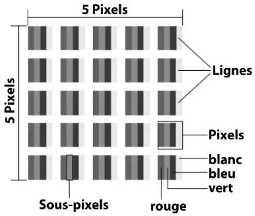 5 Pixels 5 Pixels Sous-pixels Lignes Pixels blanc bleu vert rouge