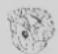 NILFISK VHC120 - Ricambi consigliati - 8