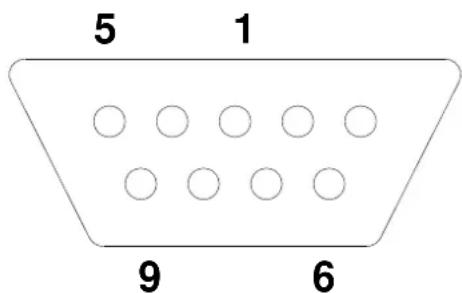5 1 9 6