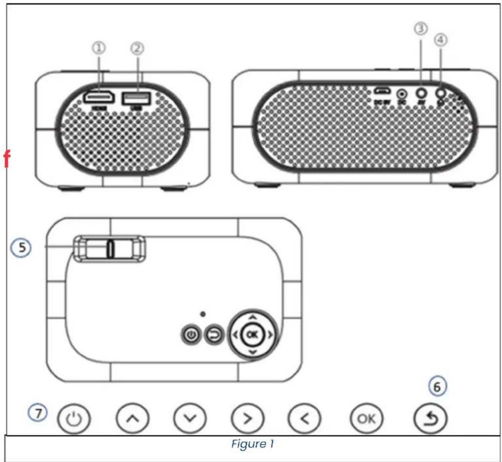 LIVOO DV153 - 1