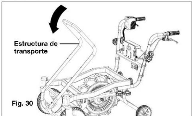Estructura de transporte Fig. 30