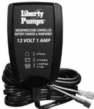 Liberty Pumps 441 - RISQUES LIÉS À LA BATTERIE - 1