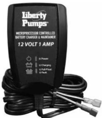Liberty Pumps 441 - BATTERY HAZARDS - 1