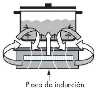 Fulgor Milano F6IRT365S1 - Funcionamento del calentamento por INDUCCION - 1