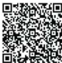 Graphite 58G022 - 1