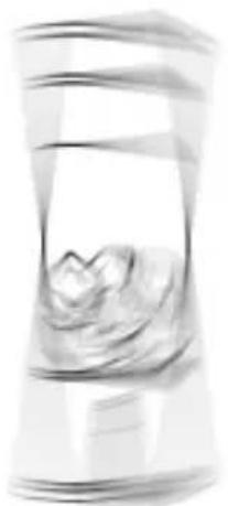 Zeegma Vitamine Go Plus - 11