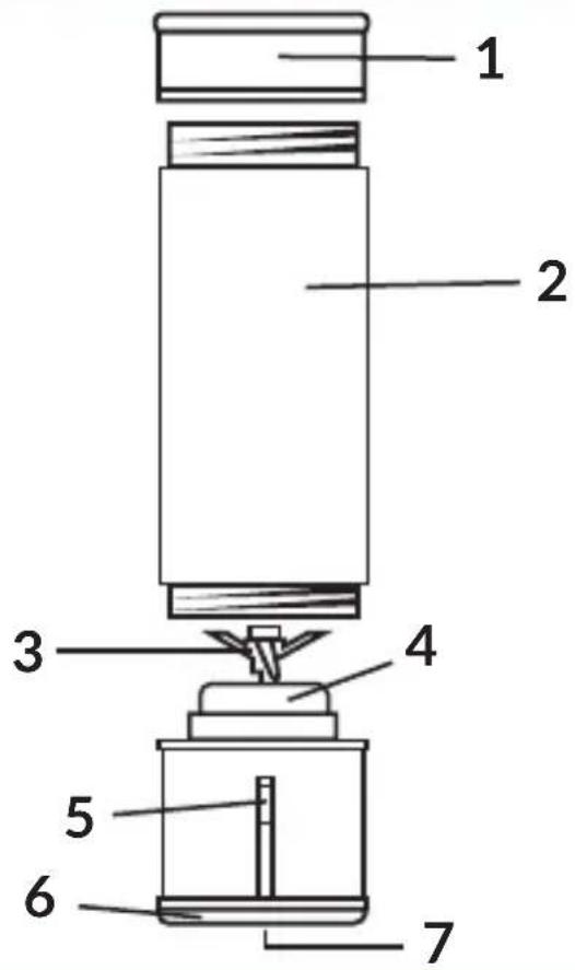 Zeegma Vitamine Go Plus - 1