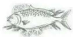 THOMSON THLR358NFIX - Fish and seafood - 1