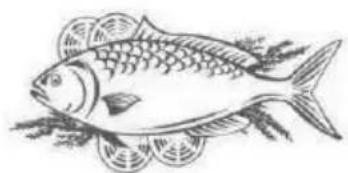 THOMSON THD421NFSL - Fish and seafood - 1