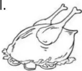 THOMSON TH178EBI - Poultry - 1