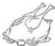 THOMSON THLR358NFWH - Poultry - 1