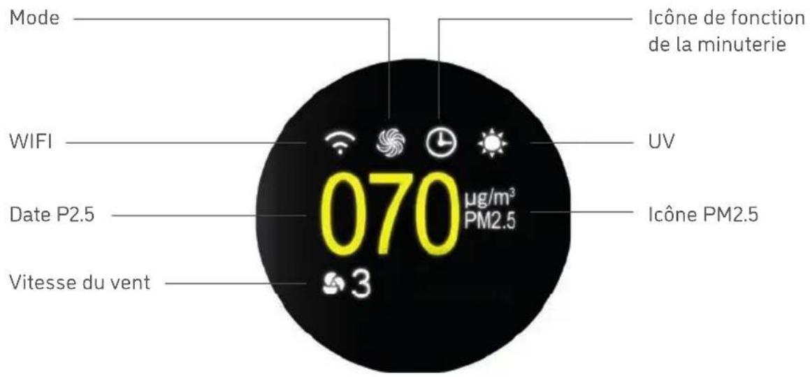 Djive Flowmate ARC Casual - INDICATEURS LED - 1