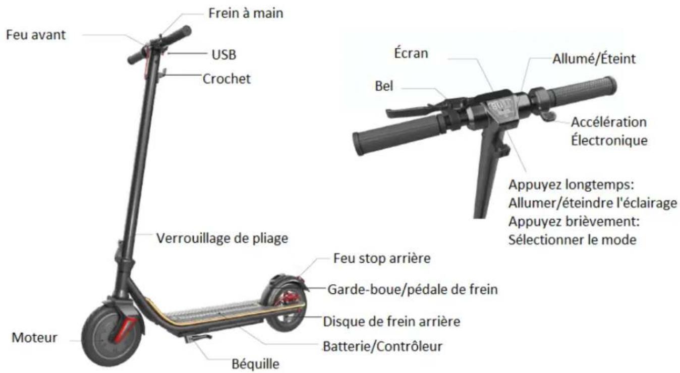 Feu avant Frein à main USB Crochet Écran Bel Allumé/Éteint Accélération Électronique Appuyez longtemps: Allumer/éteindre l'éclairage Appuyez brièvement: Sélectionner le mode Verrouillage de pliage Moteur Béquille Feu stop arrière Garde-boue/pédale de frein Disque de frein arrière Batterie/Contrôleur
