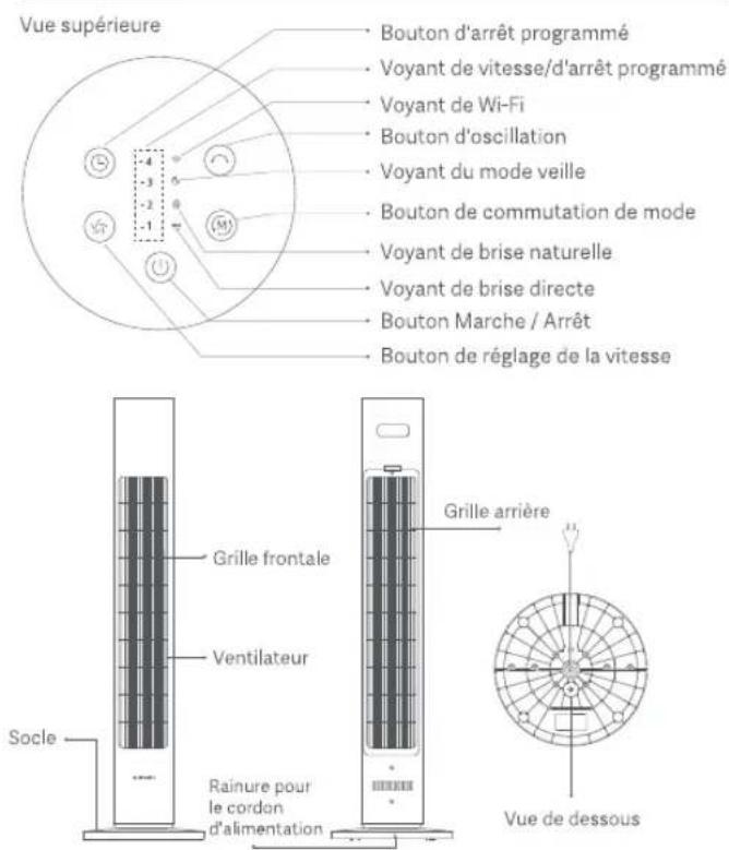 Vue supérieure Bouton d'arrêt programmé Voyant de vitesse/d'arrêt programmé Voyant de Wi-Fi Bouton d'oscillation Voyant du mode veille Bouton de commutation de mode Voyant de brise naturelle Voyant de brise directe Bouton Marche / Arrêt Bouton de réglage de la vitesse Grille frontale Ventilateur Socle Rainure pour le cordon d'alimentation Grille arrière Vue de dessous