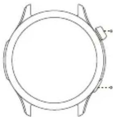 AMAZFIT Cheetah (Round) - À propos de la montre - 1