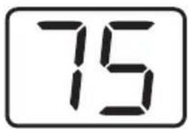 75