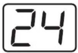 24