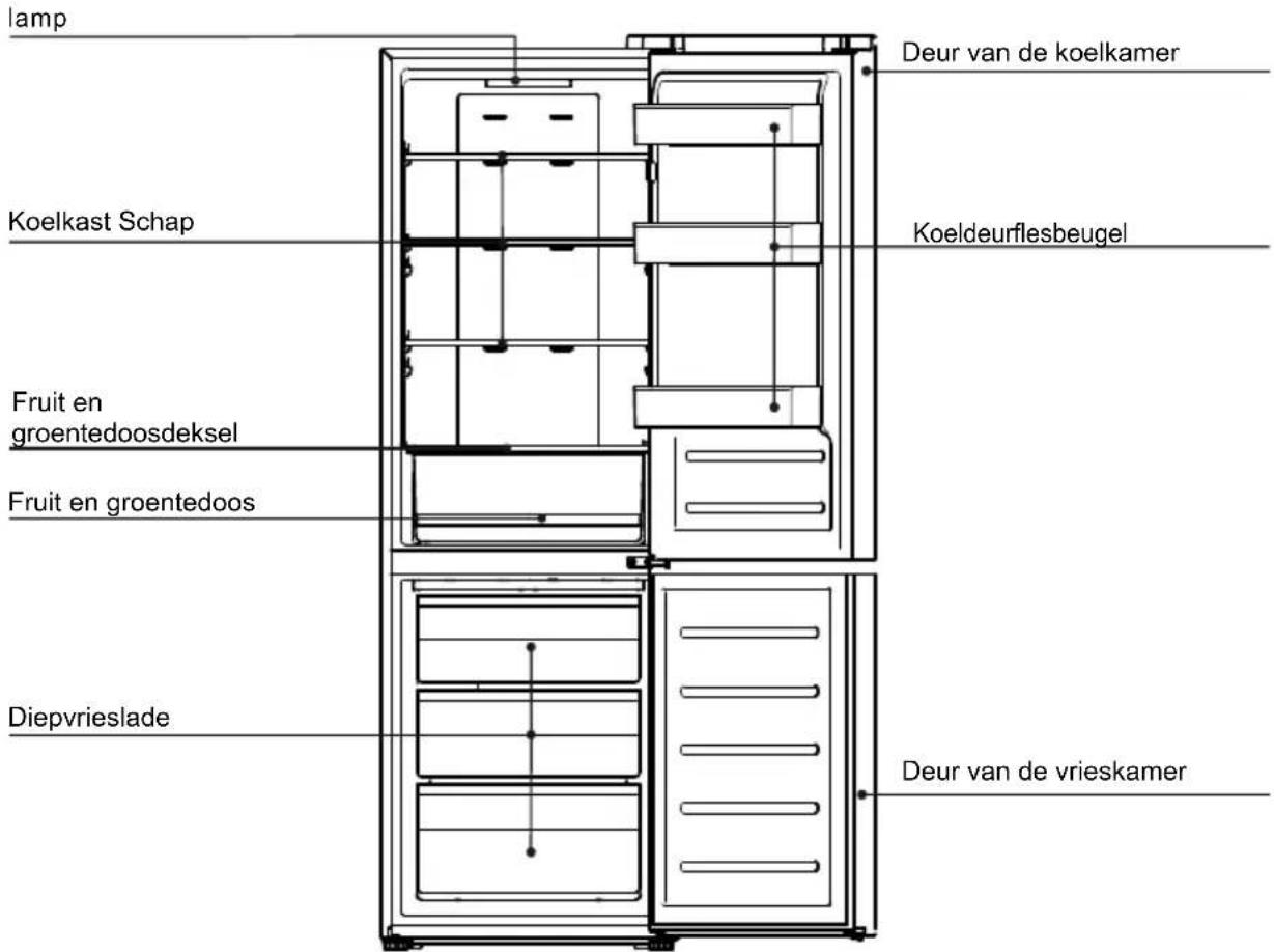 TCL RF318BWF0 - Product introductie - 1