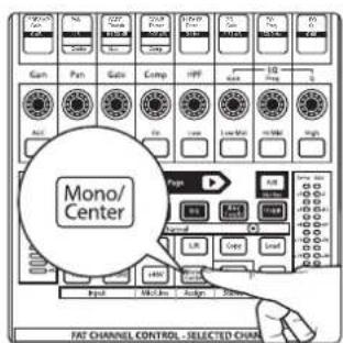 FAT CHANNEL CONTROL - SELECTED CHAM Mono/ Center