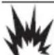 Generac 7686 - DANGER - 1
