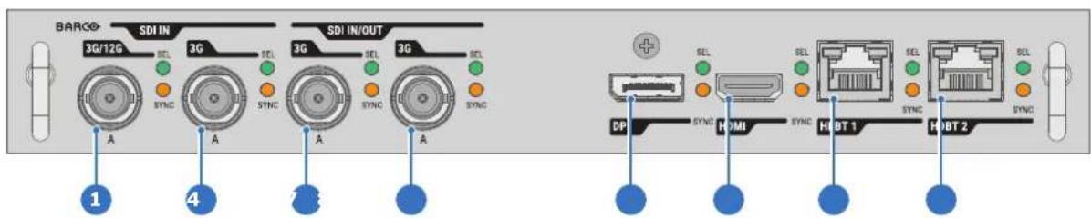Barco Njord - Entrée Pulse Quad Combo Mk II - 1