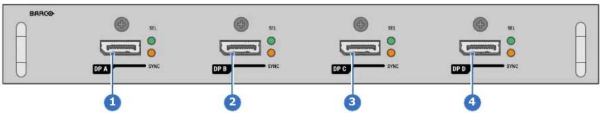 Barco Hodr - Entrée Quad DP 1.2 - 1