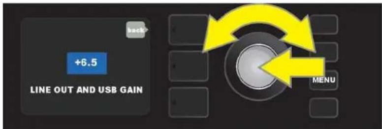 FENDER Mustang GTX100 - LINE OUT/USB GAIN - 2