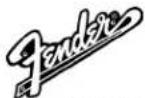 FENDER Champion 100 - Caractéristiques techniques - 1