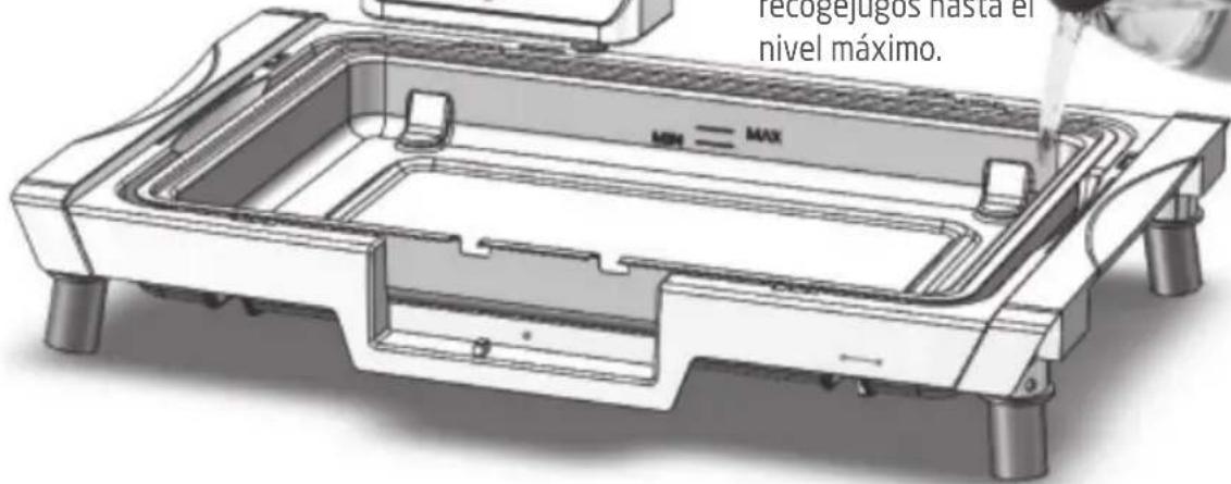 PROLINE BBQF2000 - ANTES DE USAR POR PRIMERA VEZ - 2