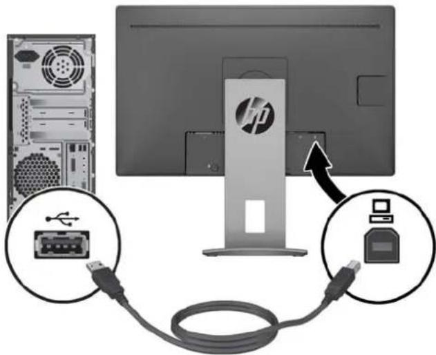HP EliteDisplay E222 - Branchement des câbles - 7