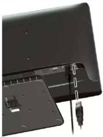 HP ProDisplay P222c - Connexion à des périphériques USB - 2