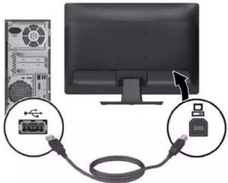 HP ProDisplay P222c - Branchement des câbles - 6