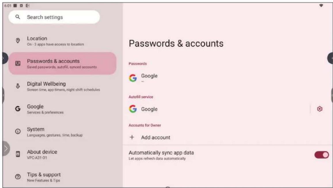VIEWSONIC VPC-A31-O1 - Passwords & Accounts (Mots de passe et comptes) - 1