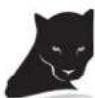 Cougar Reverso - REVERSO - 1