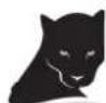 Cougar Reverso - REVERSO - 1