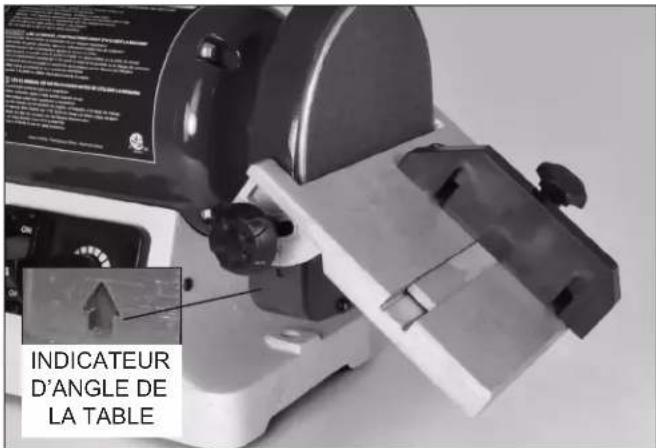 RIKON 50-161VS - REEMPLACEMENT DU DISQUE SANS LA TABLE : - 2