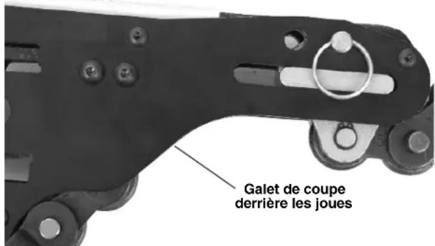 Galet de coupe derrière les joues