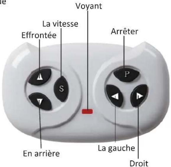 Merax TX288704 - Fonction de télécommande et explication - 1