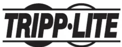 Tripp Lite B040-008-19 - Multiplexores KVM para montar en rack y consolas KVM NetController™ - 1