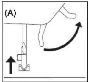 (A)