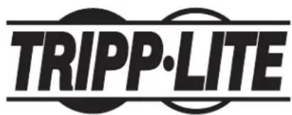 Tripp Lite B040-016-19 - Multiplexores KVM para montar en rack y consolas KVM NetController™ - 1