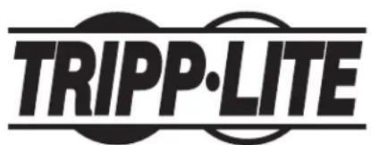 Tripp Lite B040-016-19 - Commutateurs de console KVM NetController™ et de montage sur bâti KVM - 1