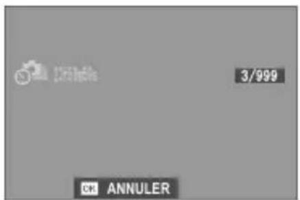 FUJI X-T3 - CLICH. RETARD. INTERV. - 3