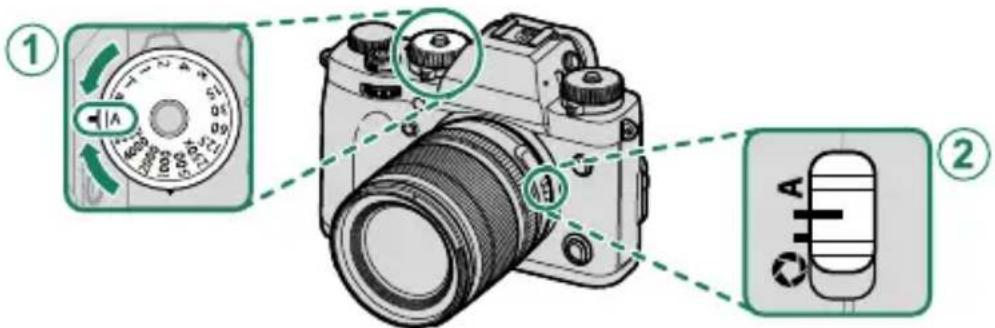 FUJI X-T3 - Mode P : Programme AE - 1