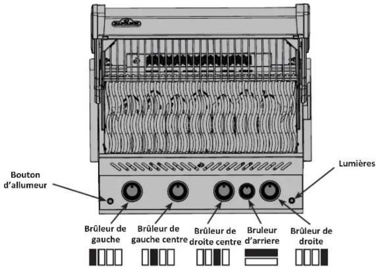 Napoleon BIPRO500-3 - Instruction d'allumage - 1
