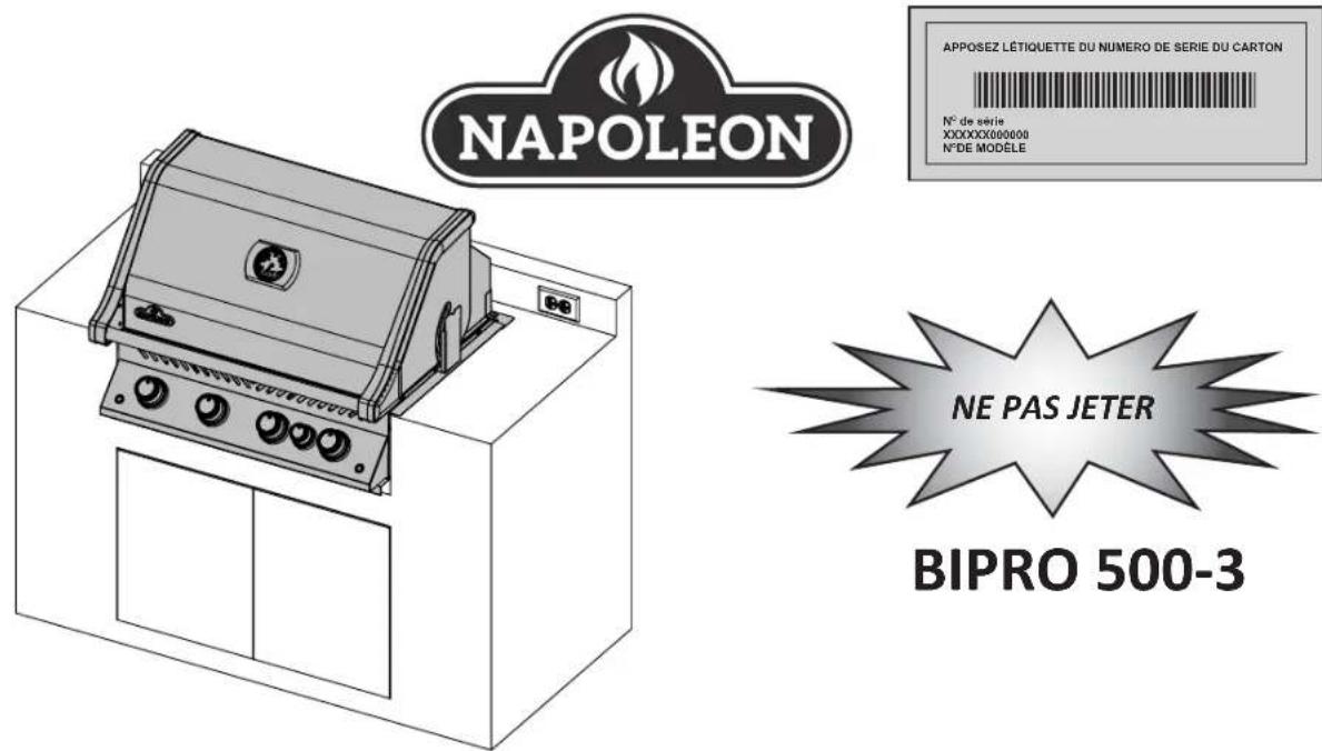 Napoleon BIPRO500-3 - 1